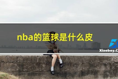 nba的篮球是什么皮