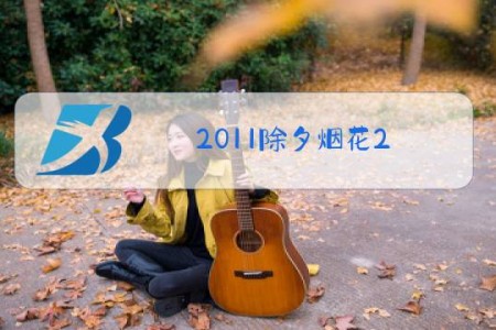 2011除夕烟花2